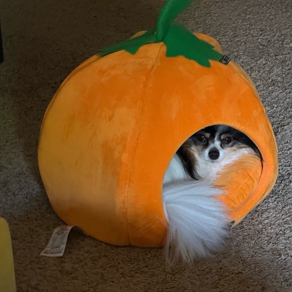 Meet your Posher, Nancy - Picture 4 of 10